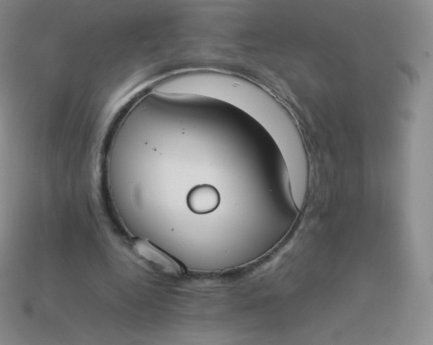 X0000113910344200910151422