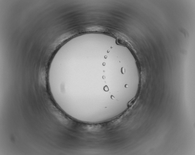 X0000113910345200910151422