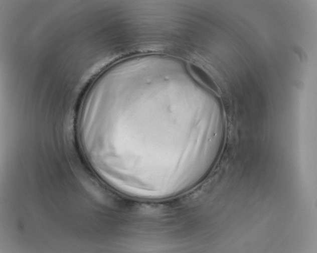 X0000113910346200910151422