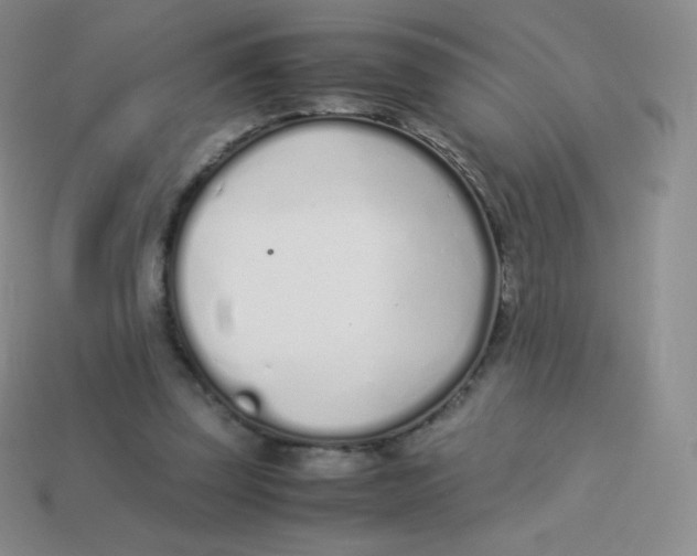 X0000113910347200910151423