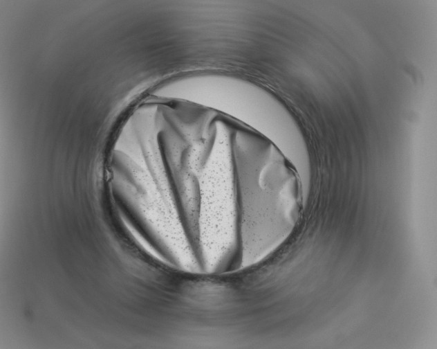 X0000113910348200910151423