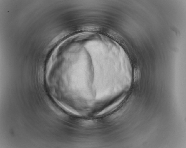 X0000113910349200910151423