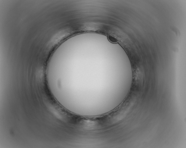 X0000113910352200910151423