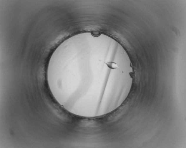 X0000113910354200910151423