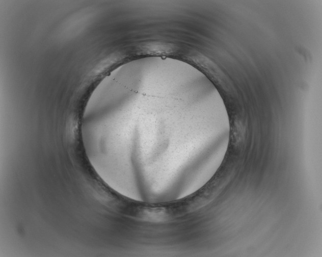 X0000113910355200910151423