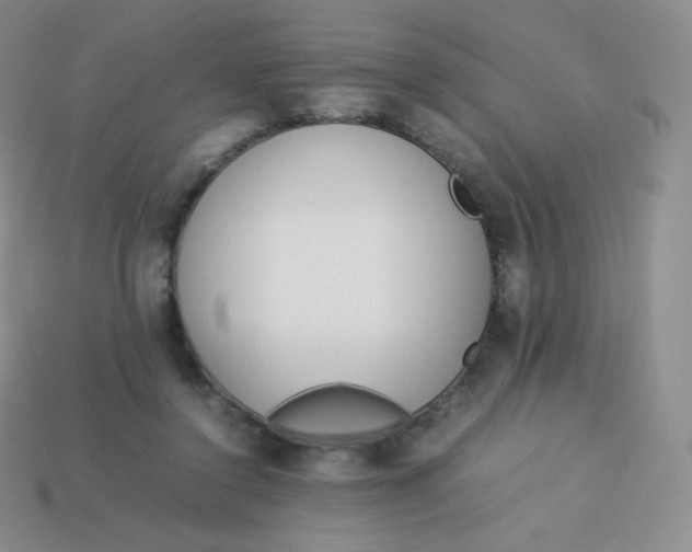 X0000113910356200910151423