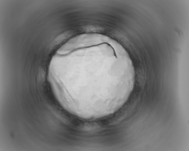 X0000113910357200910151423