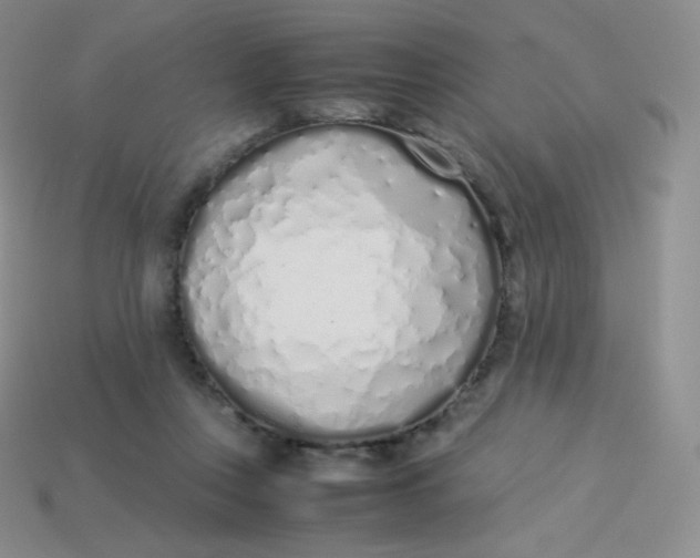 X0000113910359200910151423