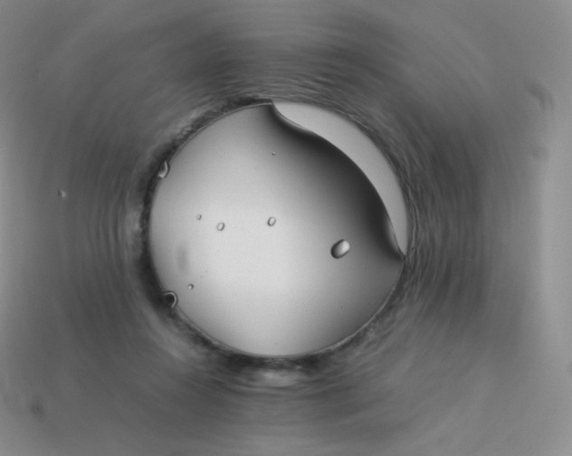 X0000113910360200910151423