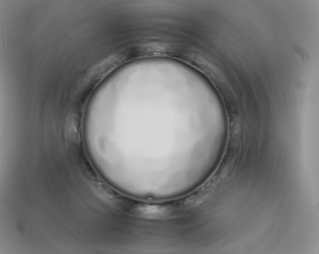 X0000113910361200910151423