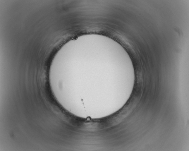 X0000113910362200910151423