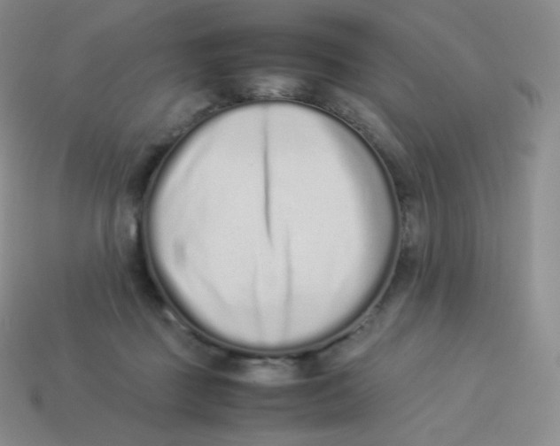 X0000113910363200910151423