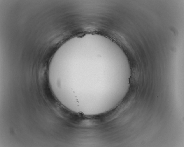 X0000113910364200910151423