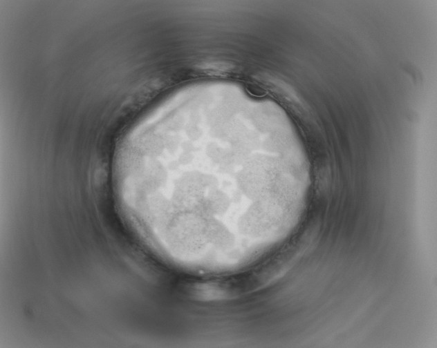 X0000113910365200910151423