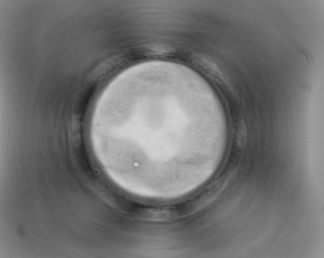 X0000113910366200910151423