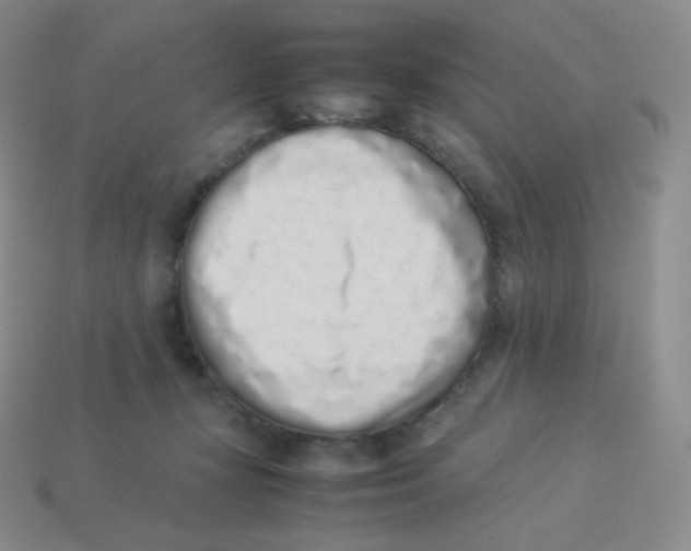 X0000113910367200910151423