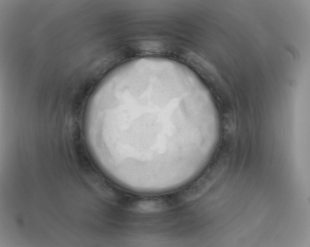 X0000113910369200910151423