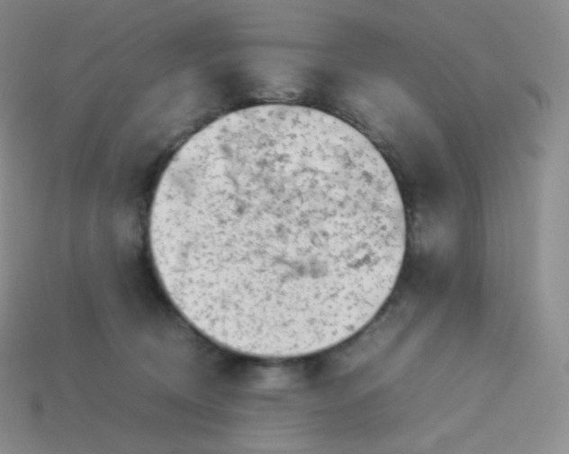 X0000113910370200910151423