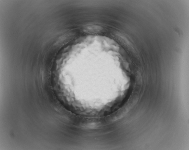 X0000113910371200910151423