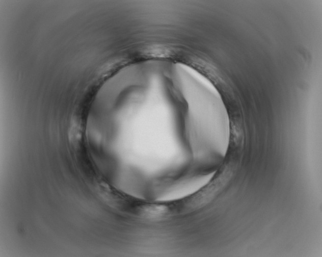 X0000113910374200910151423