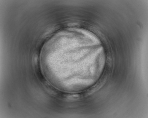 X0000113910375200910151423