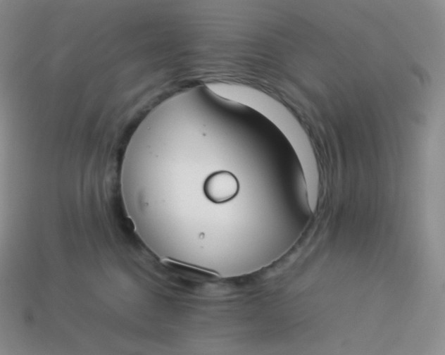 X0000113910376200910151423