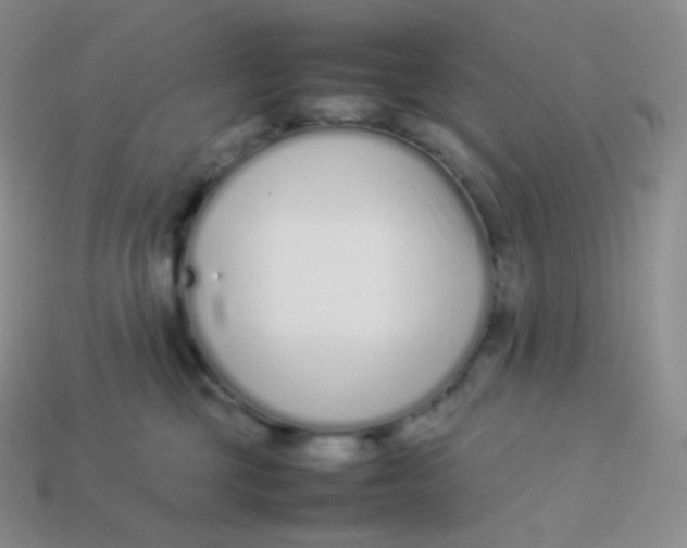 X0000113910377200910151423