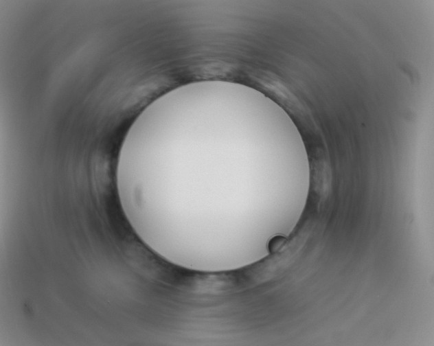 X0000113910378200910151423