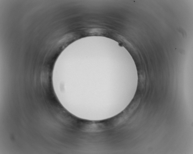 X0000113910379200910151423