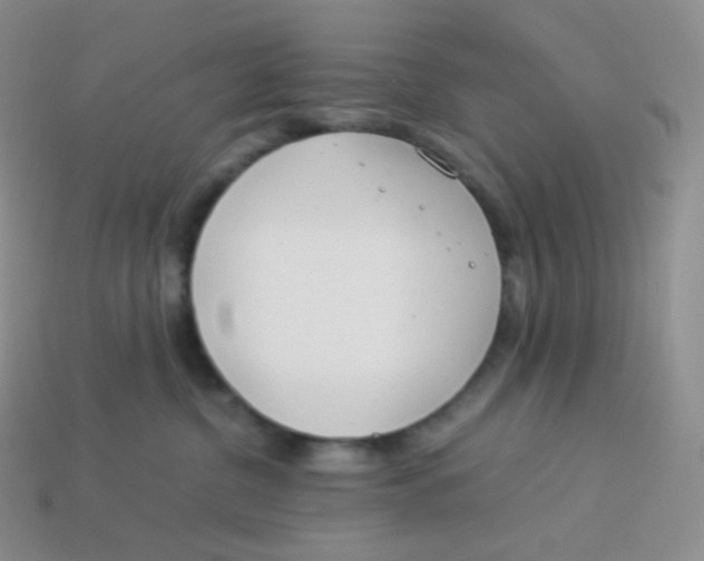 X0000113910380200910151423