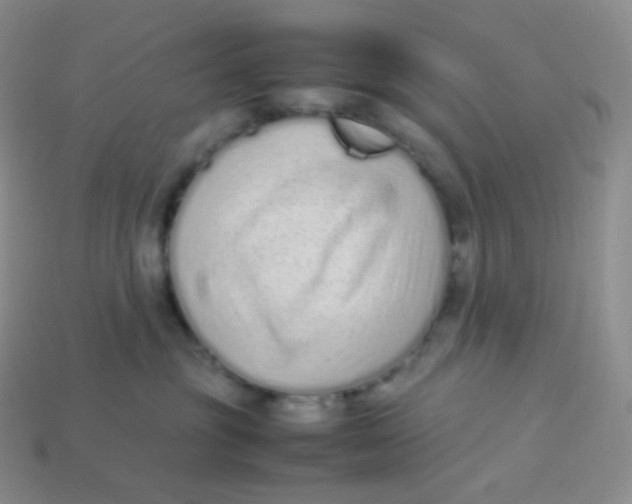 X0000113910381200910151423