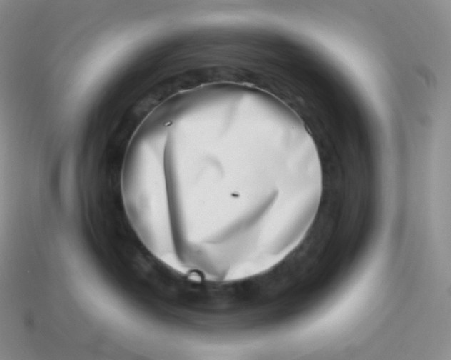 X0000113910382200910151423