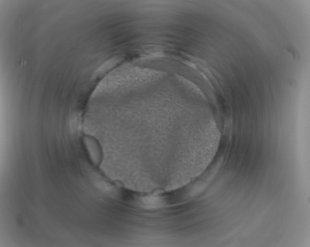 X0000113910383200910151423