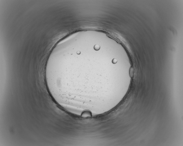 X0000113910385200910151422