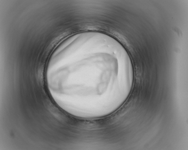 X0000113910386200910151422