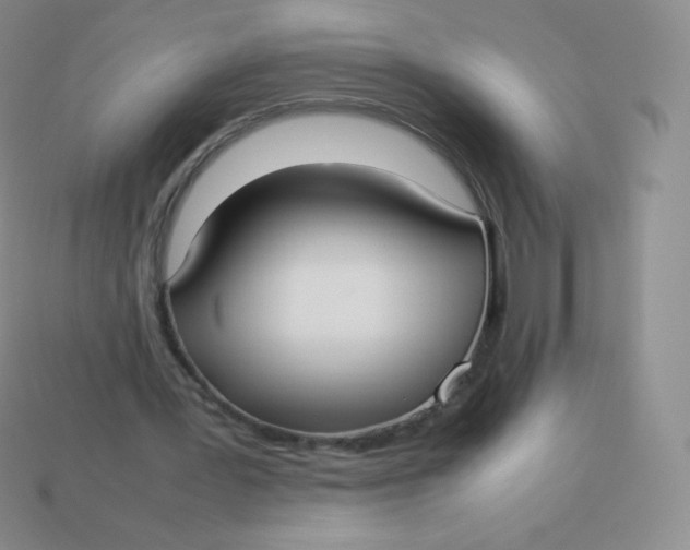 X0000113910387200910151422