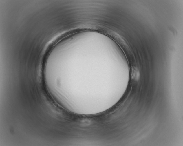 X0000113910388200910151422