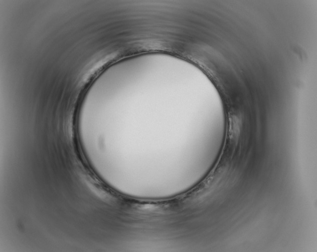 X0000113910390200910151422