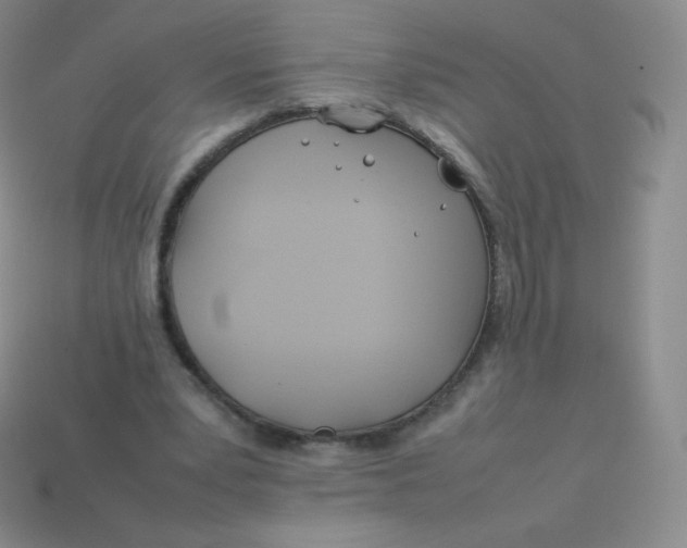 X0000113910391200910151422