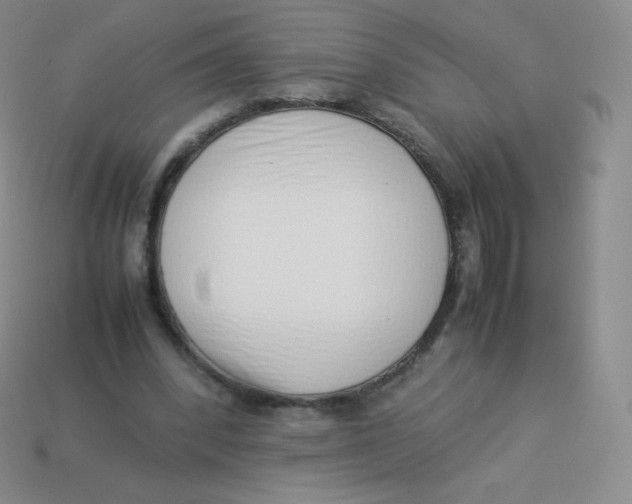 X0000113910392200910151422