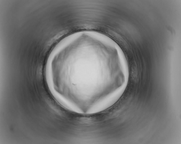 X0000113910394200910151422