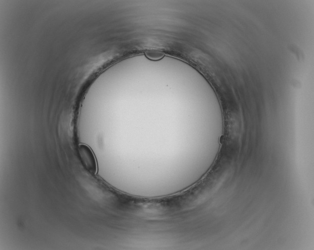 X0000113910395200910151422