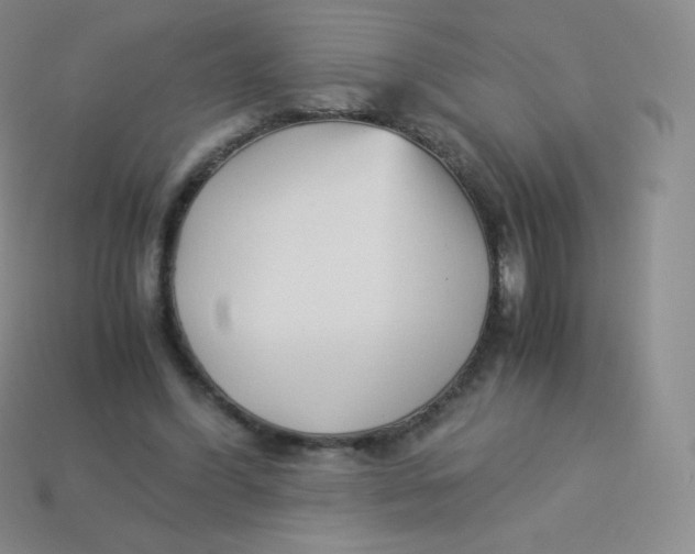 X0000113910396200910151422