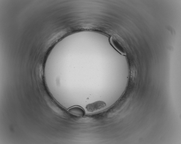 X0000113910397200910151422