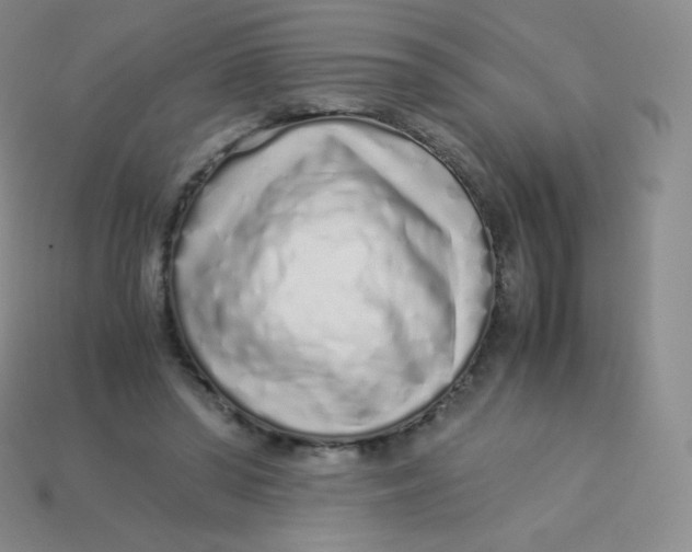 X0000113910398200910151422