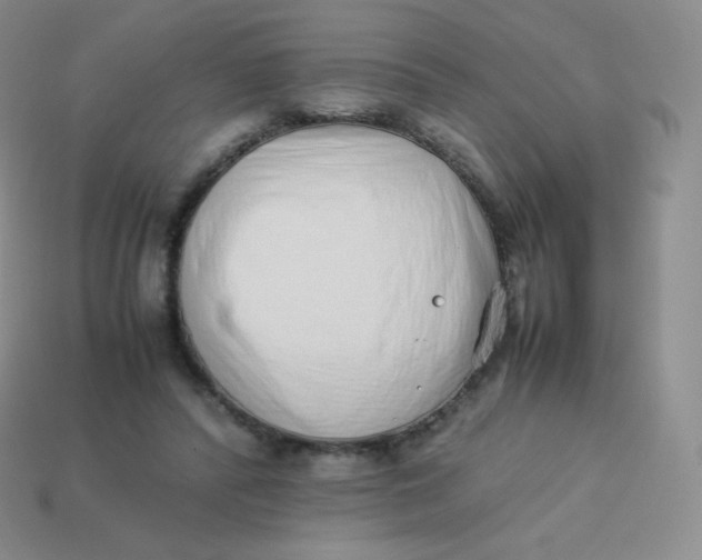 X0000113910400200910151422