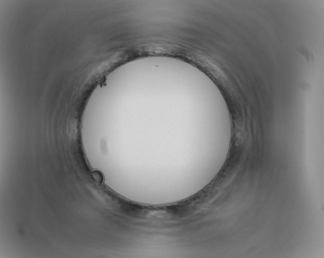 X0000113910401200910151422