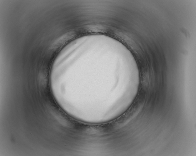 X0000113910402200910151422