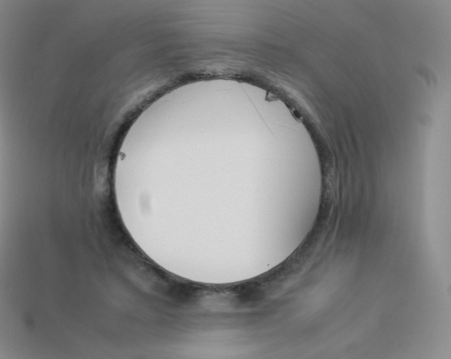 X0000113910403200910151422