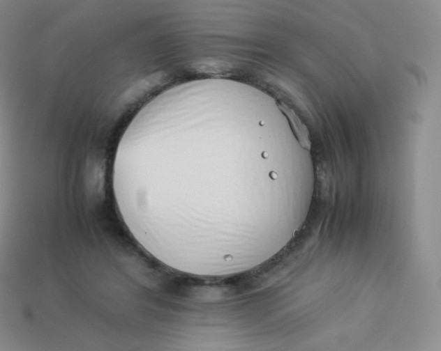 X0000113910404200910151422